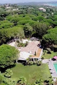 Villa Alligator